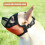 Dog Muzzle for French Bulldogs, Nylon Breathable Quick Release Personalized Muzzle 4