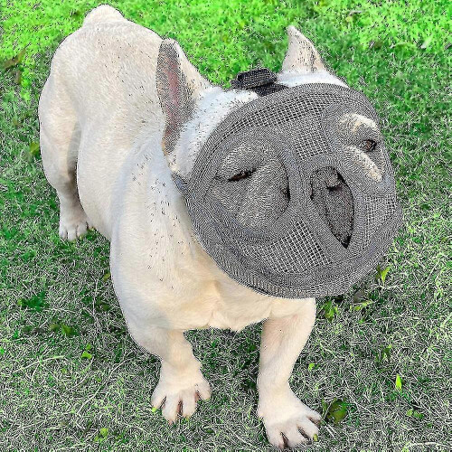 Short Snout Dog Muzzle for Bulldogs, Adjustable Breathable Mesh, Sizes S M L 2