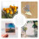 Transparante Shadow Box Voor Herinneringen En 5