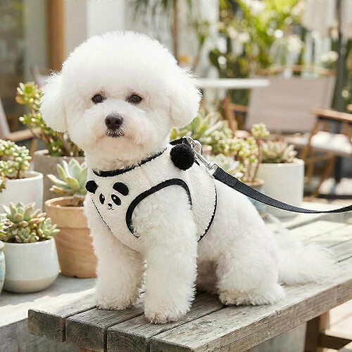 Adjustable Vest Dog Harness and Leash Set, Soft Mesh, Double Ring, Sizes S-XL 2
