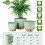 Vasos Autoirrigáveis de 8/10/12 Polegadas para Plantas de Interior/Exterior - Vaso  de Plástico com Furos de Drenagem e Indicador de Nível de 6