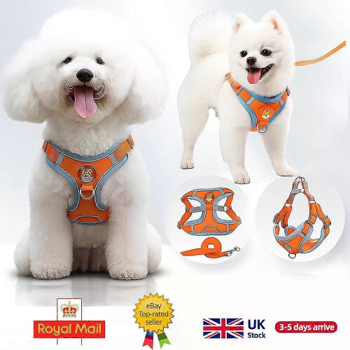 Dog Harness and Leash Set for Small Medium Dogs, No Pull Soft Mesh Vest 1