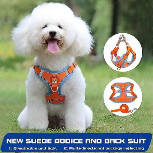 Dog Harness and Leash Set for Small Medium Dogs, No Pull Soft Mesh Vest 2