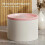 Ultra-Quiet Pet Cat Automatic Water Fountain with Filter for Dog 2