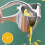 Stainless Steel Manual Citrus Juicer Press for Lemon Orange Grapefruit Extractor 5