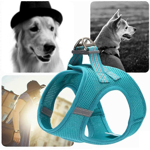 Cat Harness with Leash, Reflective Vest, Breathable Mesh for Kitten, Size L 1
