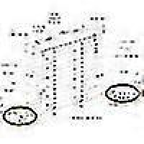 Hold Down Brackets Compatible with 1 Inch Mini Blinds Bottom Rail - 12pcs Clear Plastic Clips 2