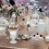 Glass Fruit Plate, Tall Transparent Serving Dish for Snacks and Side Dishes 5