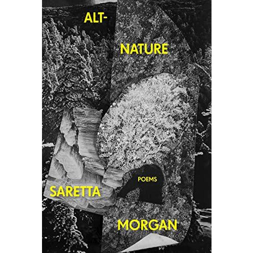 AltNature by Saretta Morgan Paperback Book