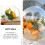 1St Transparante Plastic Rozen Ball, Creatieve Bloemverpakking Decor 5