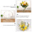 1St Transparante Plastic Rozen Ball, Creatieve Bloemverpakking Decor 6