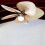 10St Duurzame Fan Pull Chain Pendant Met Krasbestendige Afwerking 3