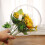 1St Transparante Plastic Rozen Ball, Creatieve Bloemverpakking Decor 8