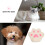 1St Universal Pet Bed Beige Wasbare Kattenkussen Comfort 6