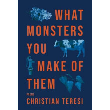 What Monsters You Make of Them by Christian Teresi Paperback Book