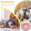 1St Multifunctioneel Kattenbed Warm Dierenkussen Roze 5