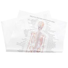 Humaan Anatomie Poster Wit Zijdeachtig Stoffen Decoratief Voordelig