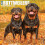 Rottweilers 2026 Wall Calendar by Willow Creek Press Other Book 1