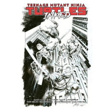 Teenage Mutant Ninja Turtles Vol. 1 Return to New York Inked Deluxe Ed