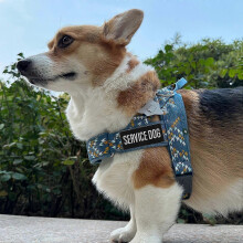 2pcs Service Dog Harness with Embroidered Fabric Patch for Easy Wear Comfortable Polyester Material Suitable for Small To Large Pets Ideal for Trainin