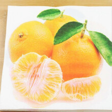 Fruit Printed Party Napkins, Colorful Assorted Designs for Birthday, Baby Shower, Daily Use, Bulk 20-Pack