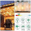 3Pcs G40 Led Replacement Light Bulbs, E12 Screw Base Shatterproof LED Globe Bulbs compatible with Solar String Lights Warm White 5