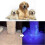 Uv Black Light Flashlight Pet Urine Detector Light Handheld Portable Dog Cat_m24 3