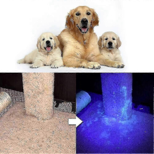 Uv Black Light Flashlight Pet Urine Detector Light Handheld Portable Dog Cat_m24 2