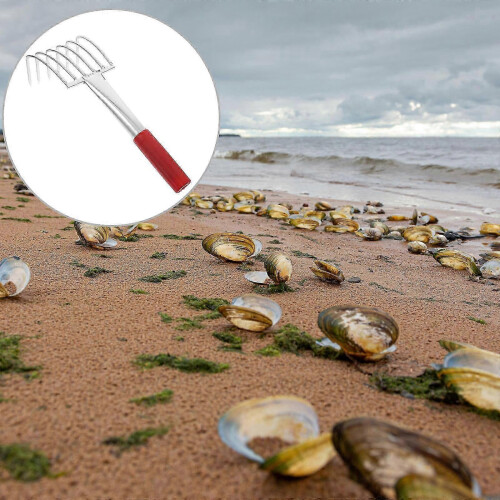 Stainless Steel Clamming Rake for Shell Harvesting, Comfortable Handle Beach Shellfish Digging Tool 2