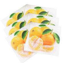 Fruit Printed Party Napkins, Colorful Assorted Designs for Birthday, Baby Shower, Daily Use, Bulk 20-Pack