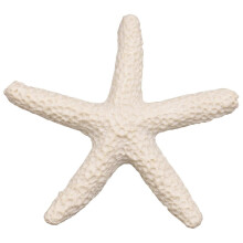 15 Pieces creamy-white Pencil Finger Starfish for Wedding Dcor