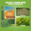 Westland Westland Gro Sure Shady Lawn Seed Grass Seed 10m² 8