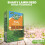 Westland Westland Gro Sure Shady Lawn Seed Grass Seed 10m² 9