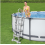 Bestway Bestway Flowclear 122cm Pool Safety Ladder Grey 3