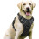 (L, black) No-Pull Dog Harness with Dual Leash Clips - Padded Control Handle Vest for Large Breed Training 1