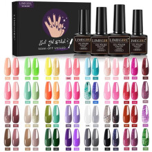 (ZH240-2) 60 Colors Gel Nail Polish Kit Functional Gel Manicure Set Matte Top Coat Base Coat High Gloss Long-Lasting Nail Art Set