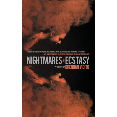 Nightmares in Ecstacy by Brendan Vidito Paperback Book