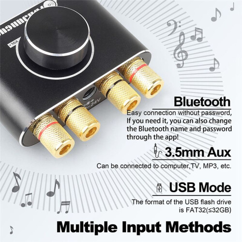 DAJUNGUO 2.0 Channel 20W+20W  Amp with Remote Control Function,Supports /USB/AUX Input 2