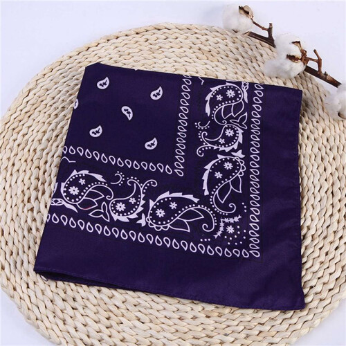Set di 2 bandane Paisley blu navy - Sciarpa in cotone e cashmere Venduto 1