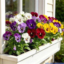 50pcs Realistic Artificial Flowers Suitable for Wedding, Garden & Decor - UV-Resistant Outdoor/ Pansy Bouquet with
