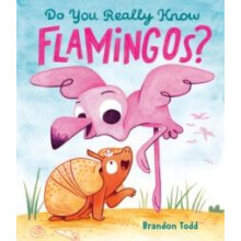 Do You Really Know Flamingos by Brandon Todd Hardcover Book