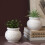Handmade Flowerpot Molds Garden Silicone Mold Fish-pattern 2 7
