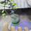 Multifunctional Reptiles Drinking Bowl Auto Refill-White 7