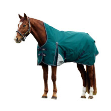 Weatherbeeta Comfitec Plus Dynamic High-Neck 220g Horse Turnout Rug