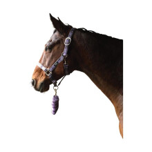 (Full, Pink/Navy/Kingfisher Blue) Hy Tartan Head Collar with Lead Rope