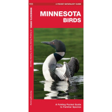 Minnesota Birds by James Kavanagh Paperback Book