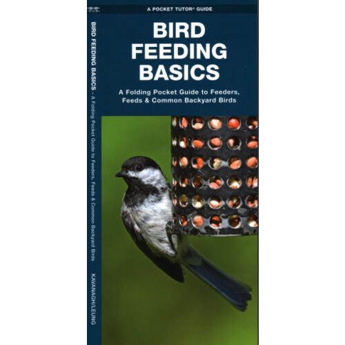Bird Feeding Basics by James Kavanagh Paperback Book