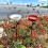 Antique Birdbath for Patios Yard Lawn Iron Construction-Red 10