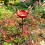 Antique Birdbath for Patios Yard Lawn Iron Construction-Red 8