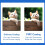 Handheld Monocular Telescope Light weight Telescope Outdoor 4